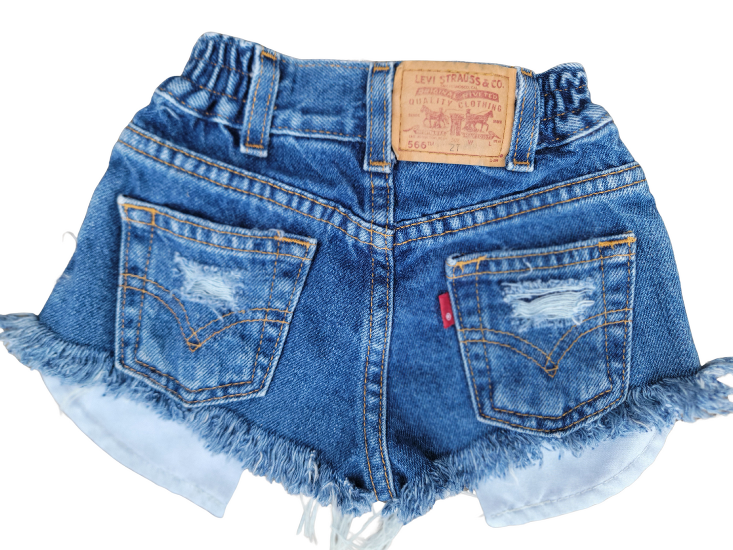 2T Rare Vintage Levis